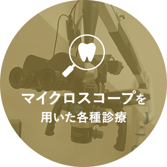 マイクロスコープを用いた各種診療